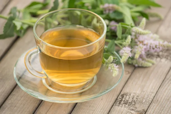 Ein Glas mit goldenem Tee mit Blättern und Minzblüten steht — Stockfoto