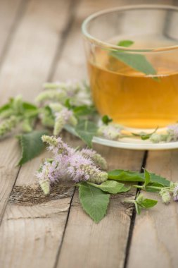 Altın çay yaprakları ve nane çiçek st ile ile ile bir cam kupa
