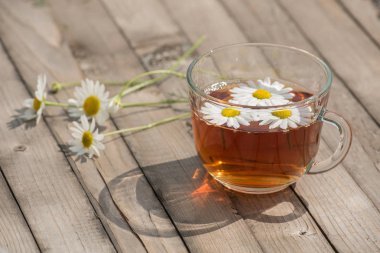 Bir yaz güneşli mo üzerinde ahşap bir masa üzerinde papatya ile bitkisel çay