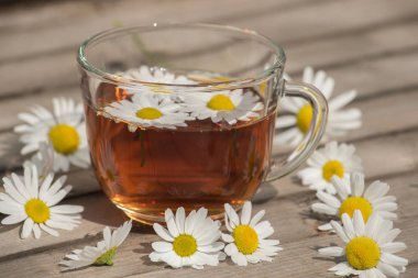 Bir yaz güneşli mo üzerinde ahşap bir masa üzerinde papatya ile bitkisel çay