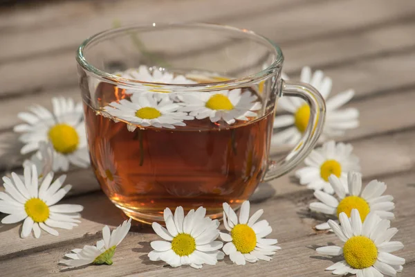 Bir yaz güneşli mo üzerinde ahşap bir masa üzerinde papatya ile bitkisel çay