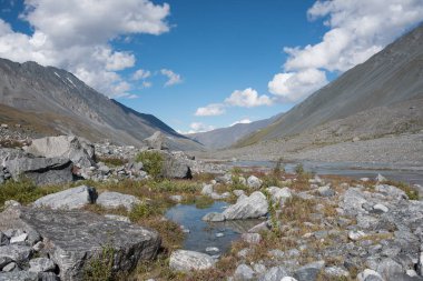 Yaban hayatı Altay. Nehir, dağlar ve gökyüzü ile Summer bulutlarda