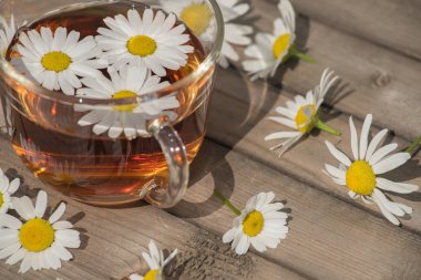Bir yaz güneşli mo üzerinde ahşap bir masa üzerinde papatya ile bitkisel çay