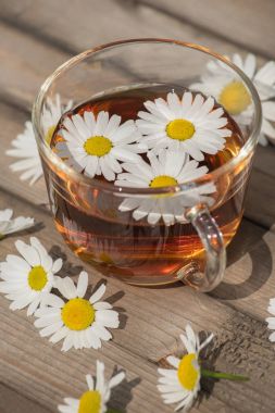Bir yaz güneşli mo üzerinde ahşap bir masa üzerinde papatya ile bitkisel çay
