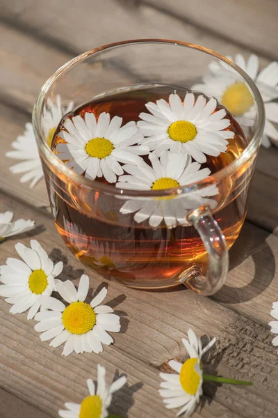 Bir yaz güneşli mo üzerinde ahşap bir masa üzerinde papatya ile bitkisel çay