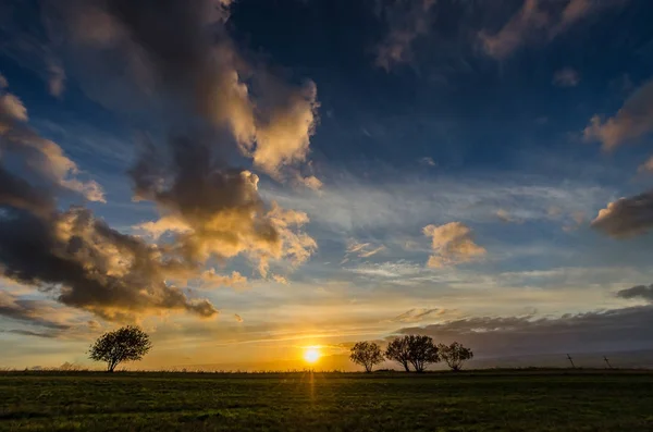 Naplemente, ég, felhők, zöld fű és nyáron — Stock Fotó