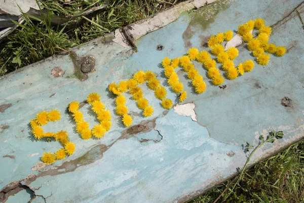 The word summer written in dandelion flowers on a wooden blue ol — Stock Photo, Image