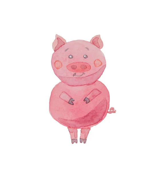 白色背景的快乐小猪画水彩 — 图库照片