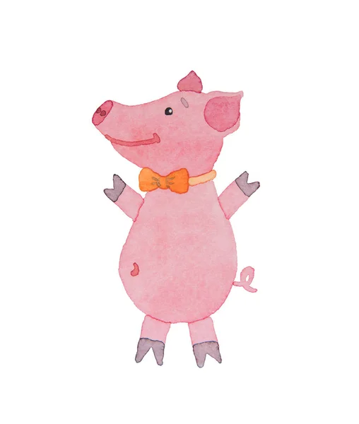 Happy piggy with bow-tie drawn watercolor on a white background — Stock Photo, Image