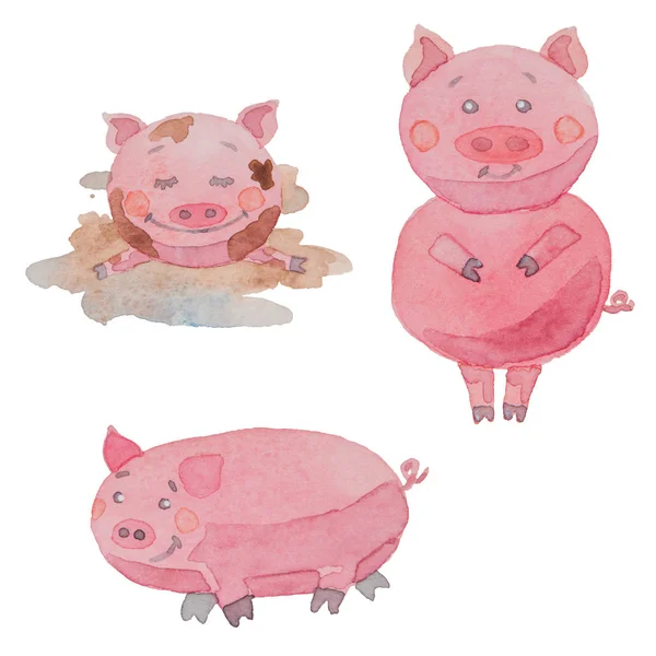 Set van drie grappige varkens geschilderd in waterverf op een witte backgro — Stockfoto