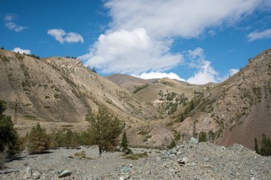 Yaban hayatı Altay. Nehir, dağlar ve gökyüzü ile Summer bulutlarda
