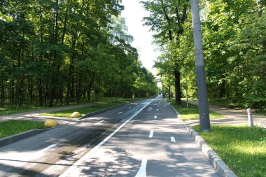 Sabah güneşi parkında ağaçlarıyla güzel kentsel sokak 