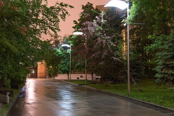 Kvällen gränd belysta av gatlyktor i parken i sommar — Stockfoto