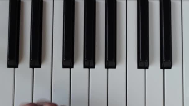 白と黒はピアノの鍵盤やシンセサイザーの美しい細い指がメロディを演奏します — ストック動画