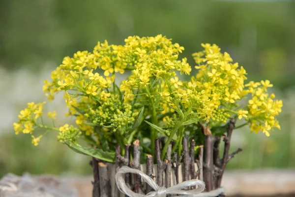 A bouquet of beautiful little yellow blossoming flowers called r