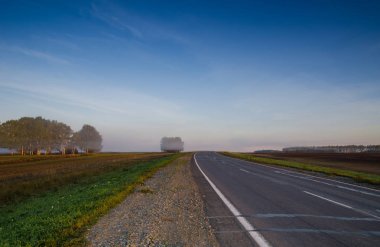 Asfalt yol ve yeşil çayır yaz ve s şafakta siste