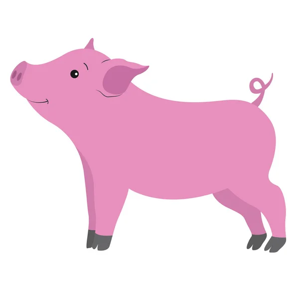 Shy beautiful pig smiling on white background — Stock Vector