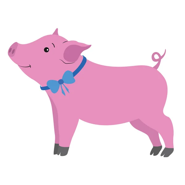 Shy beautiful piggy with blue bow on neck on white background — Stock Vector