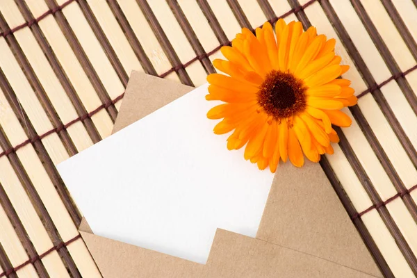 Umschlag aus Kraftpapier mit einer leeren Botschaft und mit schönen — Stockfoto