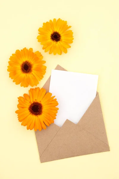 Umschlag aus Kraftpapier mit einer leeren Botschaft und mit schönen — Stockfoto