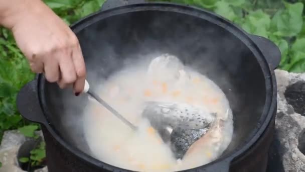 Processo Cozinhar Sopa Peixe Cabeça Salmão Caldeirão Preto Uma Fogueira — Vídeo de Stock