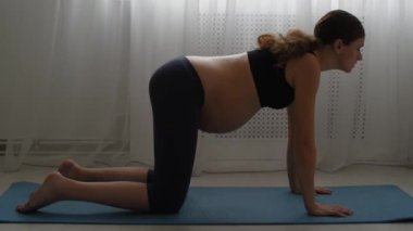 Güzel, genç, hamile bir kadın evdeki kilimde yoga yapıyor. Paspasın üzerinde jimnastik. Kötü esnemiş bir kız