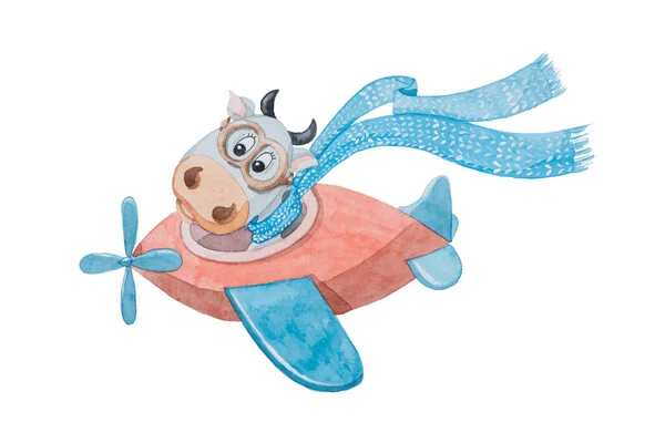 Watercolor illustration of a funny cartoon cow with a blue scarf flies in a red plane isolated on white background for new year