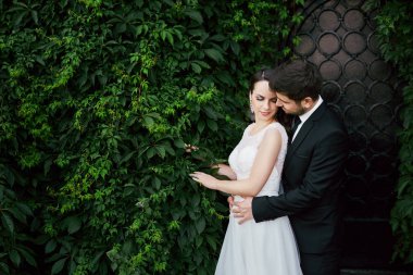 Yeşil yaprakları altında çekici çift