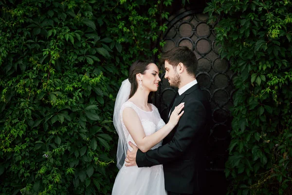 Casal atraente sob folhas verdes — Fotografia de Stock