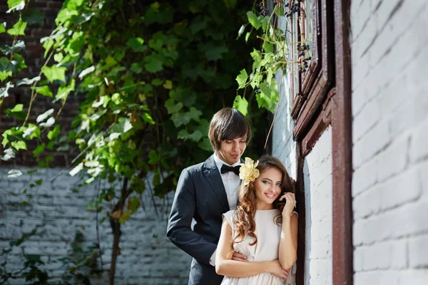 Bride and bridegroom standing — Stock Photo, Image