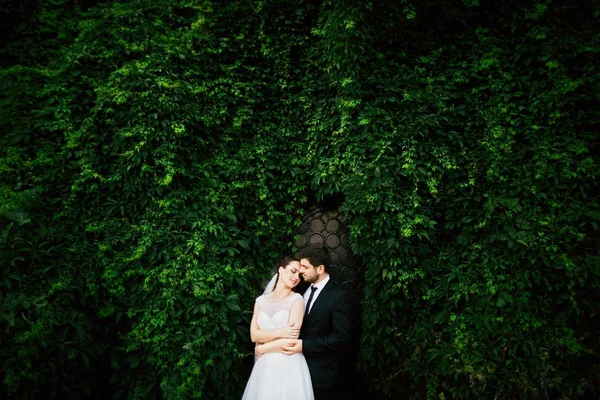 Bella sposa e lo sposo — Foto Stock