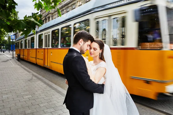 Gyönyörű menyasszony és a vőlegény, átölelve a szabadban — Stock Fotó
