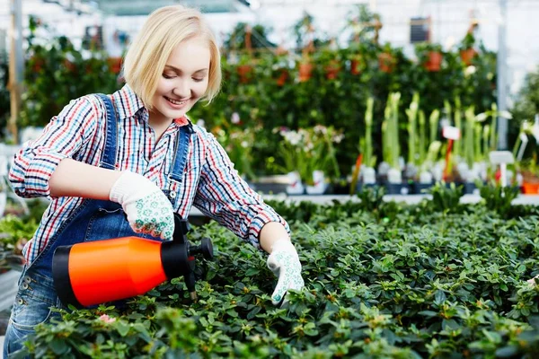 Mujer joven regando flores — Foto de Stock