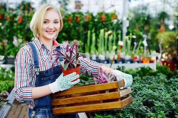 Kvinna anläggning blomkruka med växt — Stockfoto