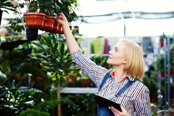 Jovem mulher de pé perto de plantas — Fotografia de Stock