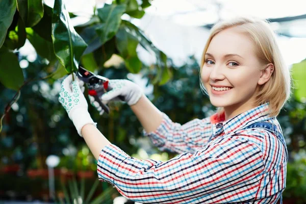 젊은 여성 식물을 돌보는 — 스톡 사진
