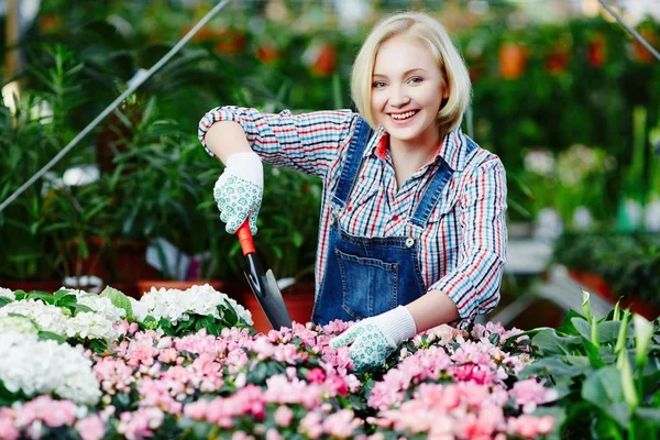 女性照顾花的花店 — 图库照片