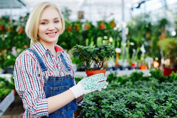 Jeune femme tenant pot de fleurs avec plante — Photo