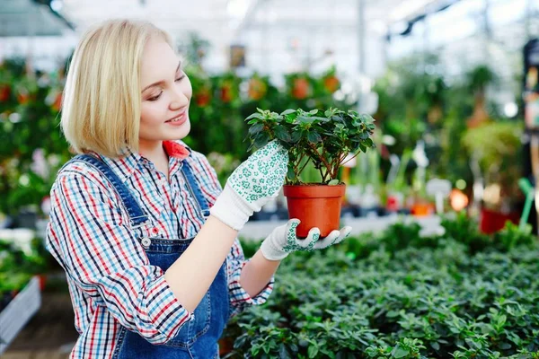 Mujer joven sosteniendo maceta con planta — Foto de Stock