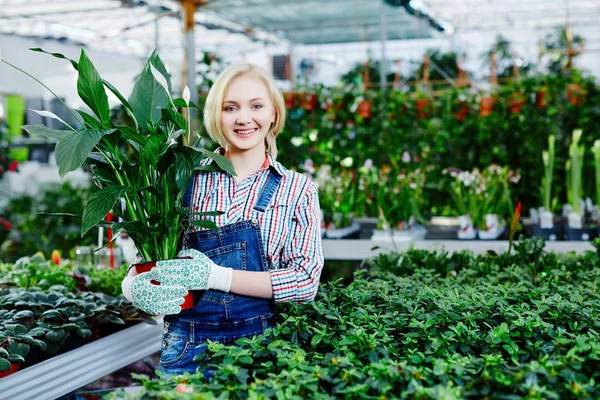 Jeune femme tenant pot de fleurs avec plante — Photo