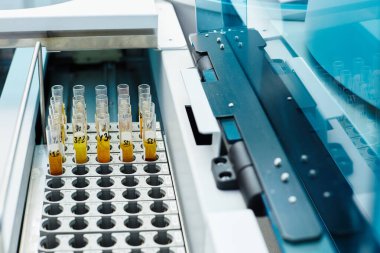 Siyah lekeli kutularda sarı sıvılar bulunan test tüplerinin yakın plan görüntüsü.