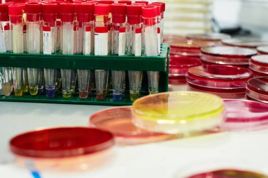 Masanın üzerinde farklı renkte reaktörler ve petri kapları olan test tüpleri.