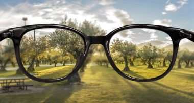 Orman günbatımı üzerinde net görüş