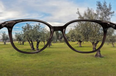 Ağaçlar alanın üzerinde net görüş