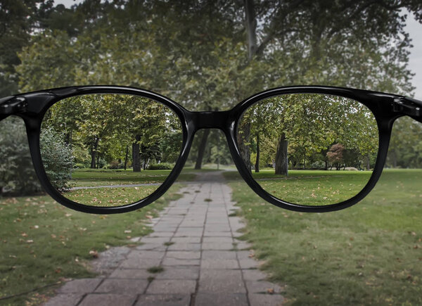 Clear vision through glasses on green park background