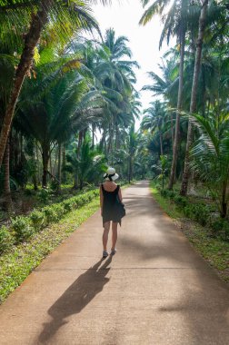Palmiye ağaçları arasında yürüyen bir kadın