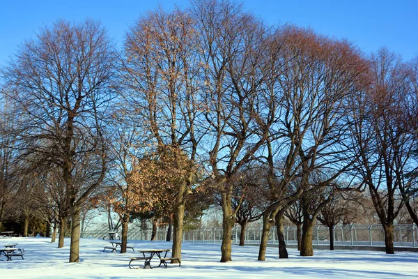 Winterlandschaft Mit Frostigen Bäumen Verschneiten Sonnigen Tag — Stockfoto
