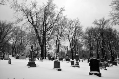 Kış vakti karlı eski bir mezarlık