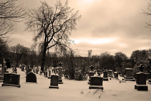 Stary Cmentarz Śniegiem Zimą — Zdjęcie stockowe
