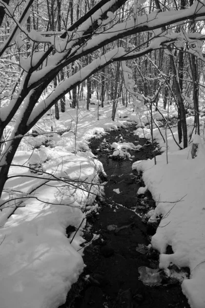 Paisaje Nevado Temporada Invierno — Foto de Stock